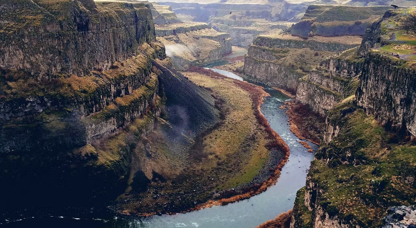 Conheça os Associados